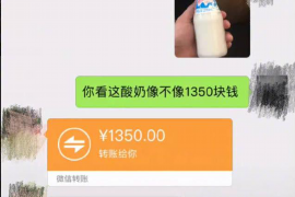 金湖金湖的要账公司在催收过程中的策略和技巧有哪些？